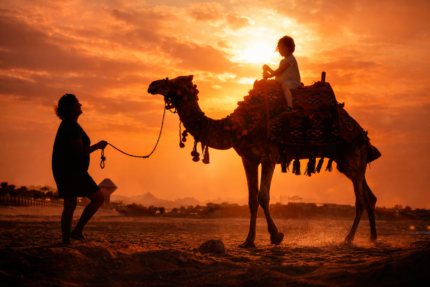 Camel Riding Hurghada on the beach and entering the sea with Red Sea view