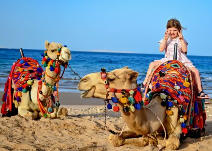 Camel Riding Hurghada on the beach and desert with Red Sea view